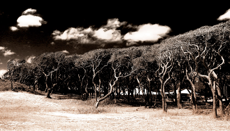 Photographie par jbruceb pour DesignCrowd (Community Contests) | Design #9070412