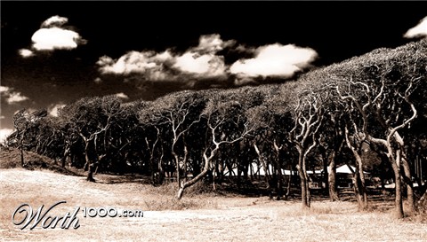 Photography by jbruceb