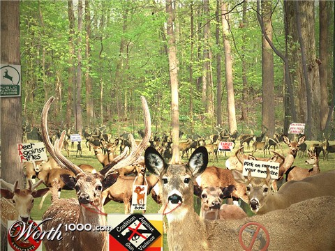 Photoshop Design by sue7910