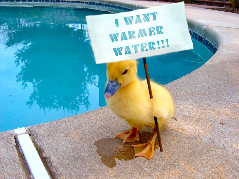 Photoshop Design by Momsen for DesignCrowd (Community Contests) | Design #9090942