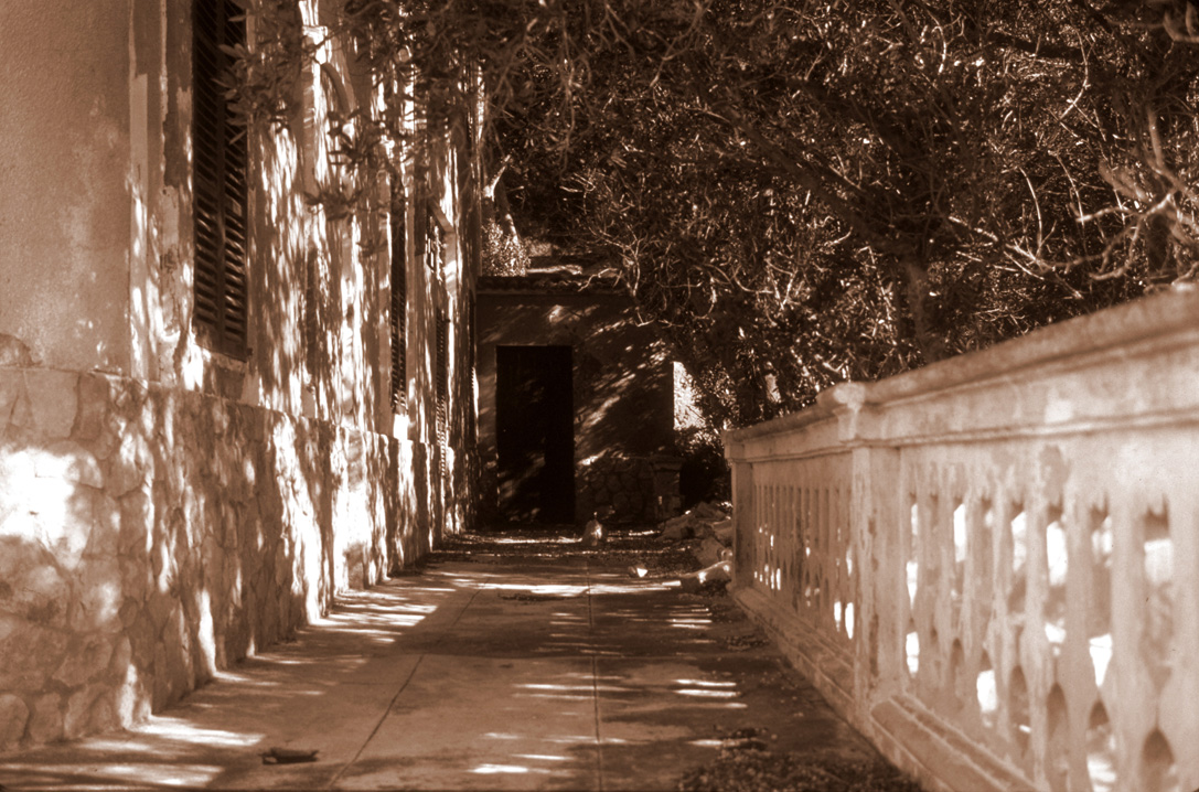 Fotografie von resquin für DesignCrowd (Community Contests) | Design #9070388