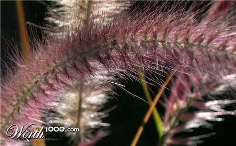 Photography by Scuzem