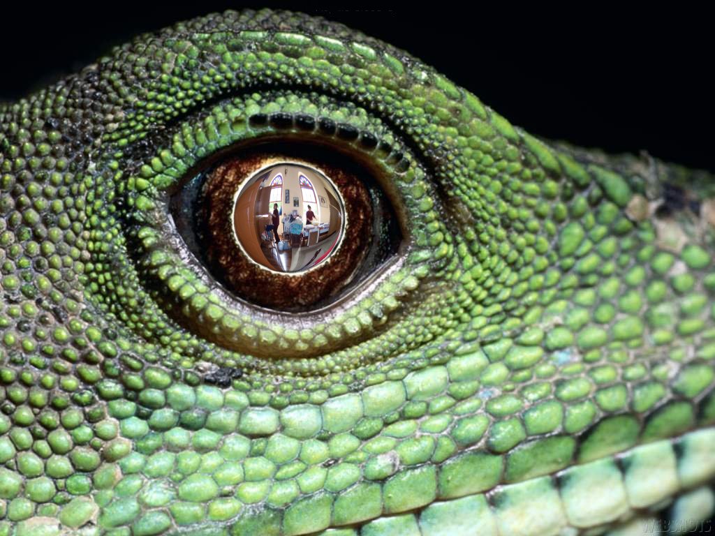 Design Photoshop par yavannilde pour DesignCrowd (Community Contests) | Design #9091876