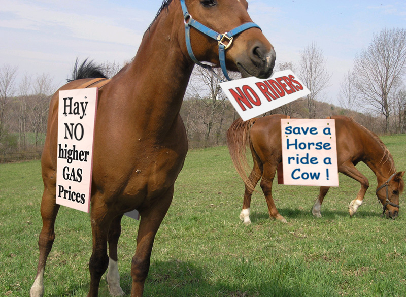 Design Photoshop par motorhead pour DesignCrowd (Community Contests) | Design #9091039