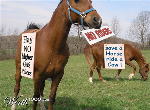 Photoshop Design by motorhead