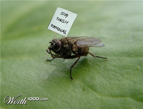 Photoshop Design by crzyme