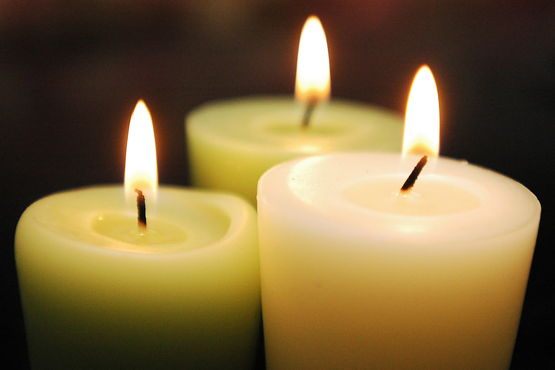 Photographie par hoshkiw pour DesignCrowd (Community Contests) | Design #9090752