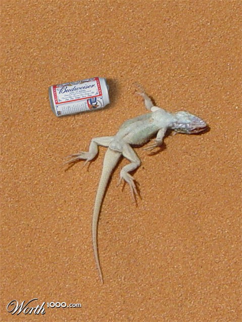 Photoshop Design by echoburst