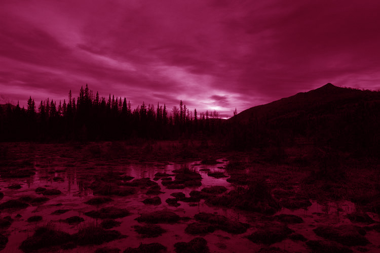 Photographie par hoshkiw pour DesignCrowd (Community Contests) | Design #9070465