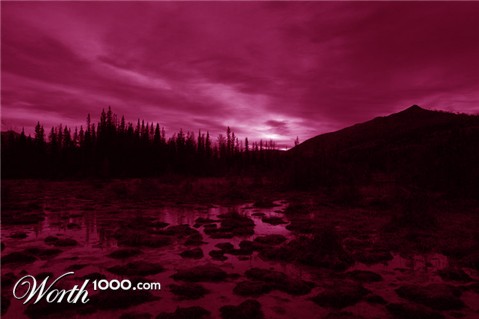 Photography by hoshkiw