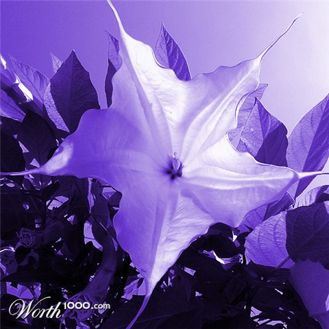 Photography by beckettboots