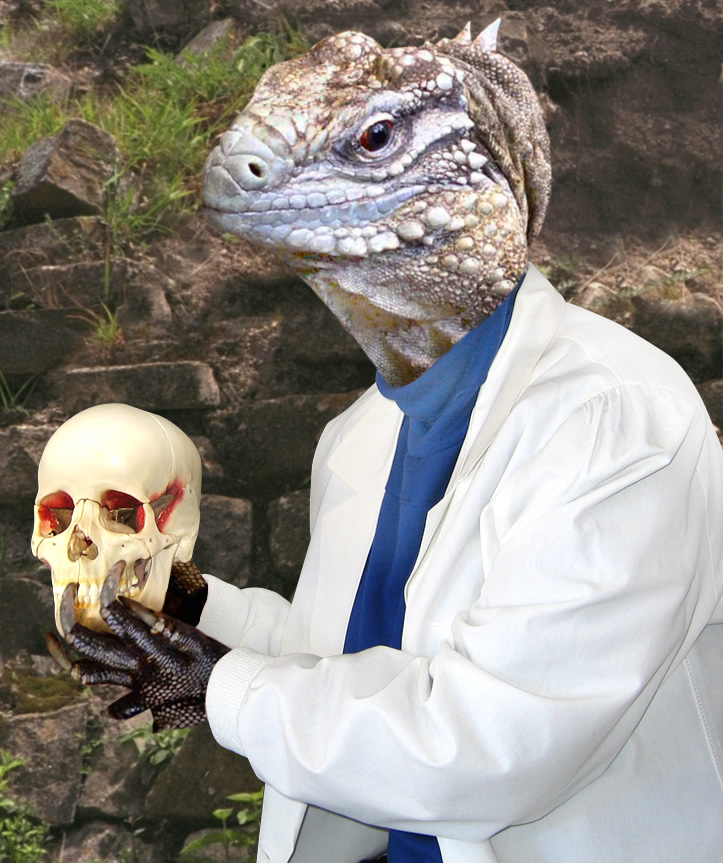 Photoshop Design by digammo for DesignCrowd (Community Contests) | Design #9091885