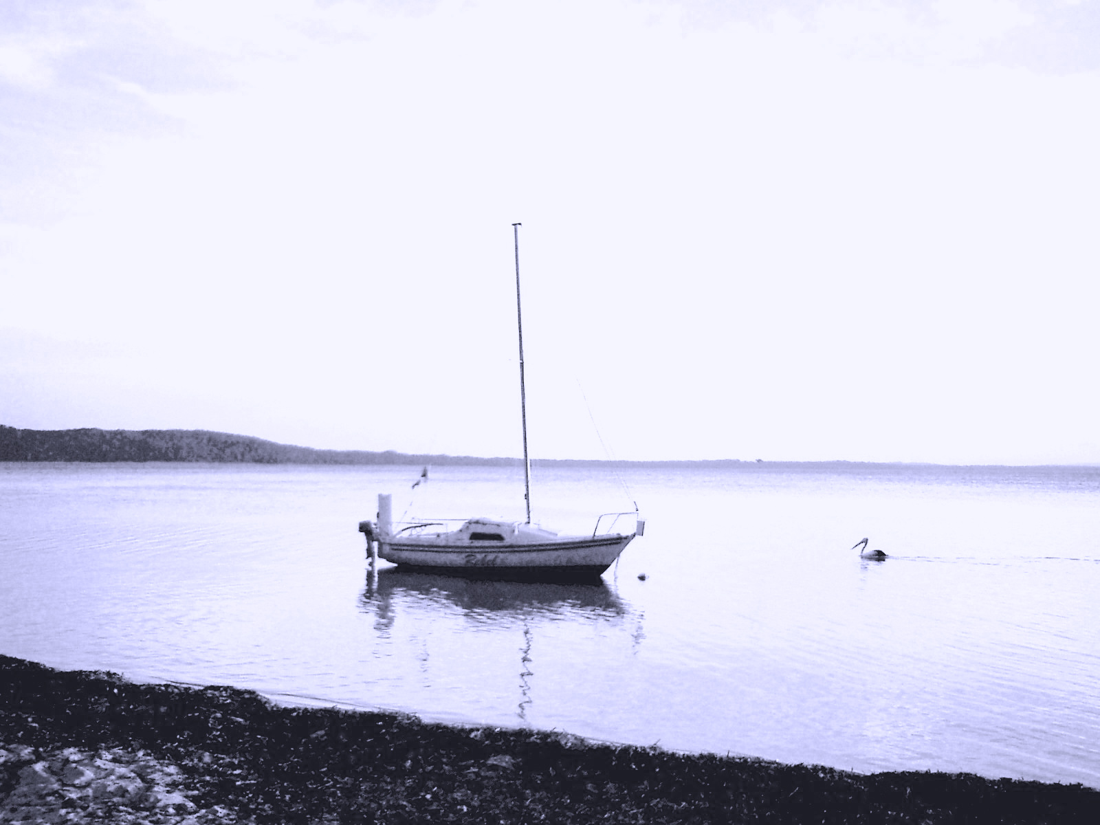 Photographie par Deanis pour DesignCrowd (Community Contests) | Design #9070444