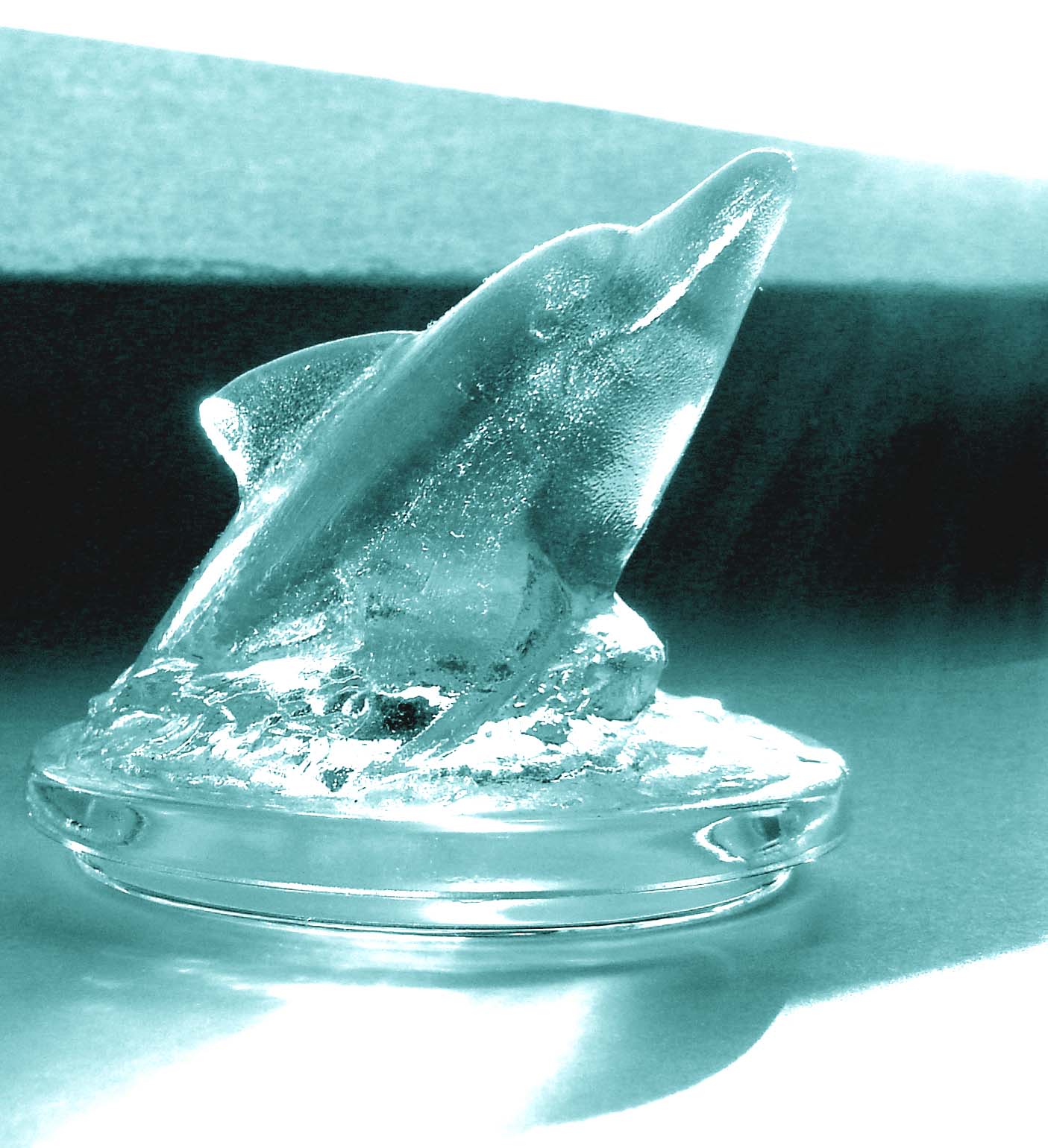 Fotografie von Chupakabra für DesignCrowd (Community Contests) | Design #9070446