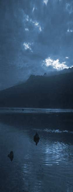 Photography by Seadiver for DesignCrowd (Community Contests) | Design #9070427