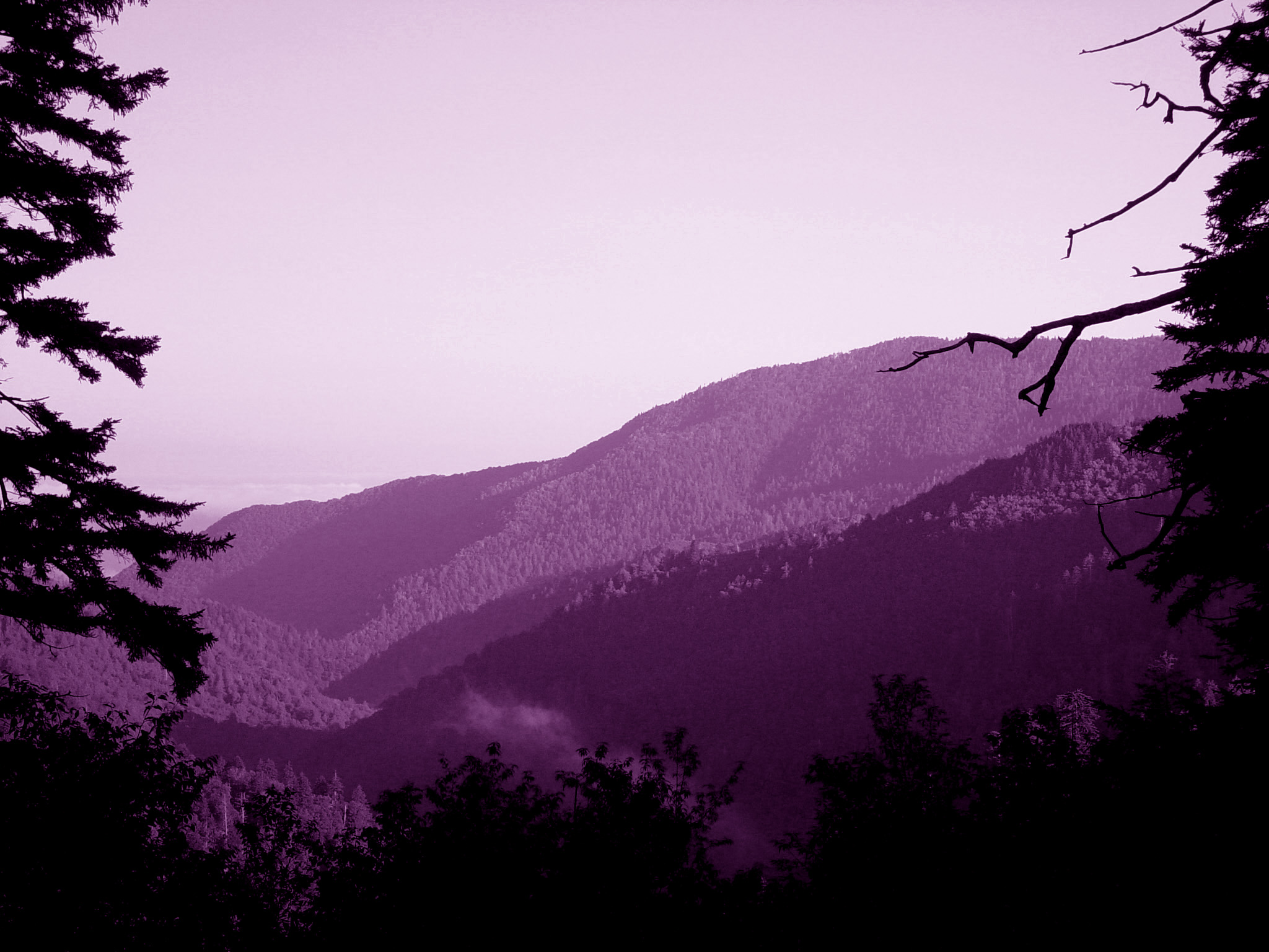 Photographie par modine pour DesignCrowd (Community Contests) | Design #9070539