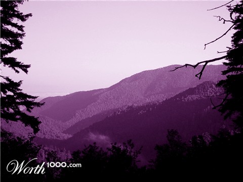 Photography by modine