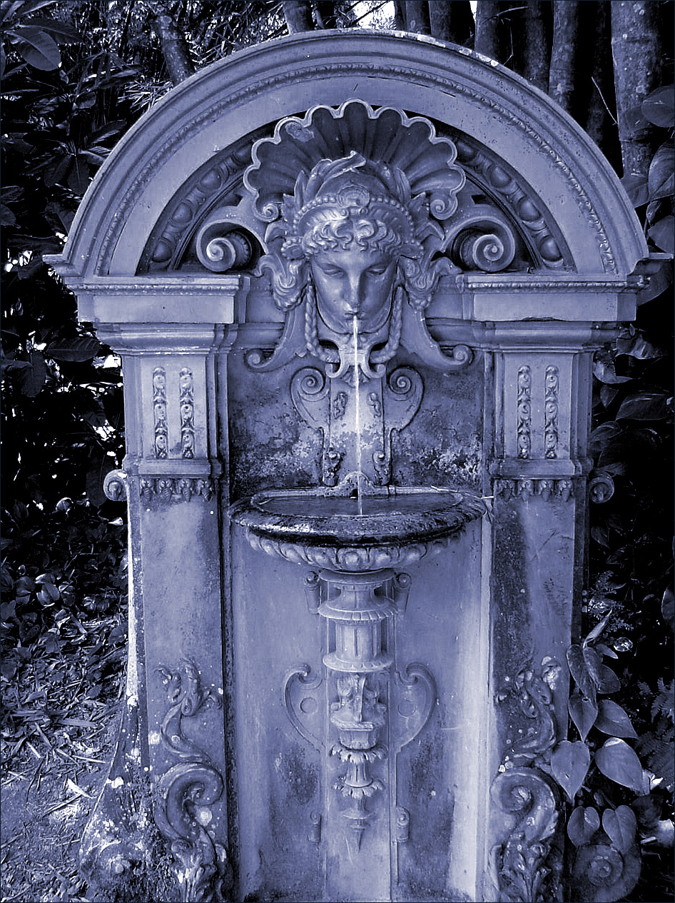 Fotografie von pedronurmi für DesignCrowd (Community Contests) | Design #9070586