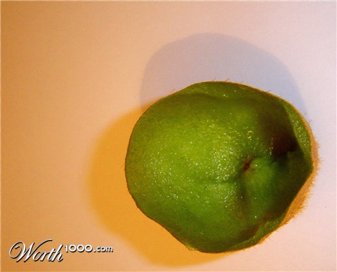 Photography by Chupakabra