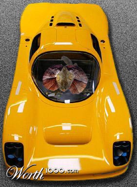 Photoshop Design by MaKxMak