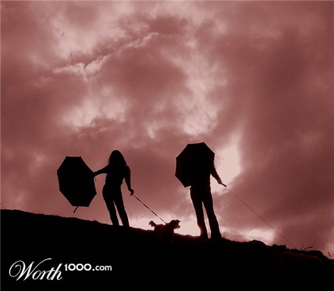 Photography by avbowler