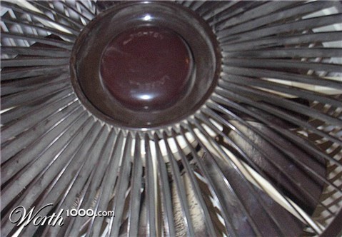 Photography by lancersboy