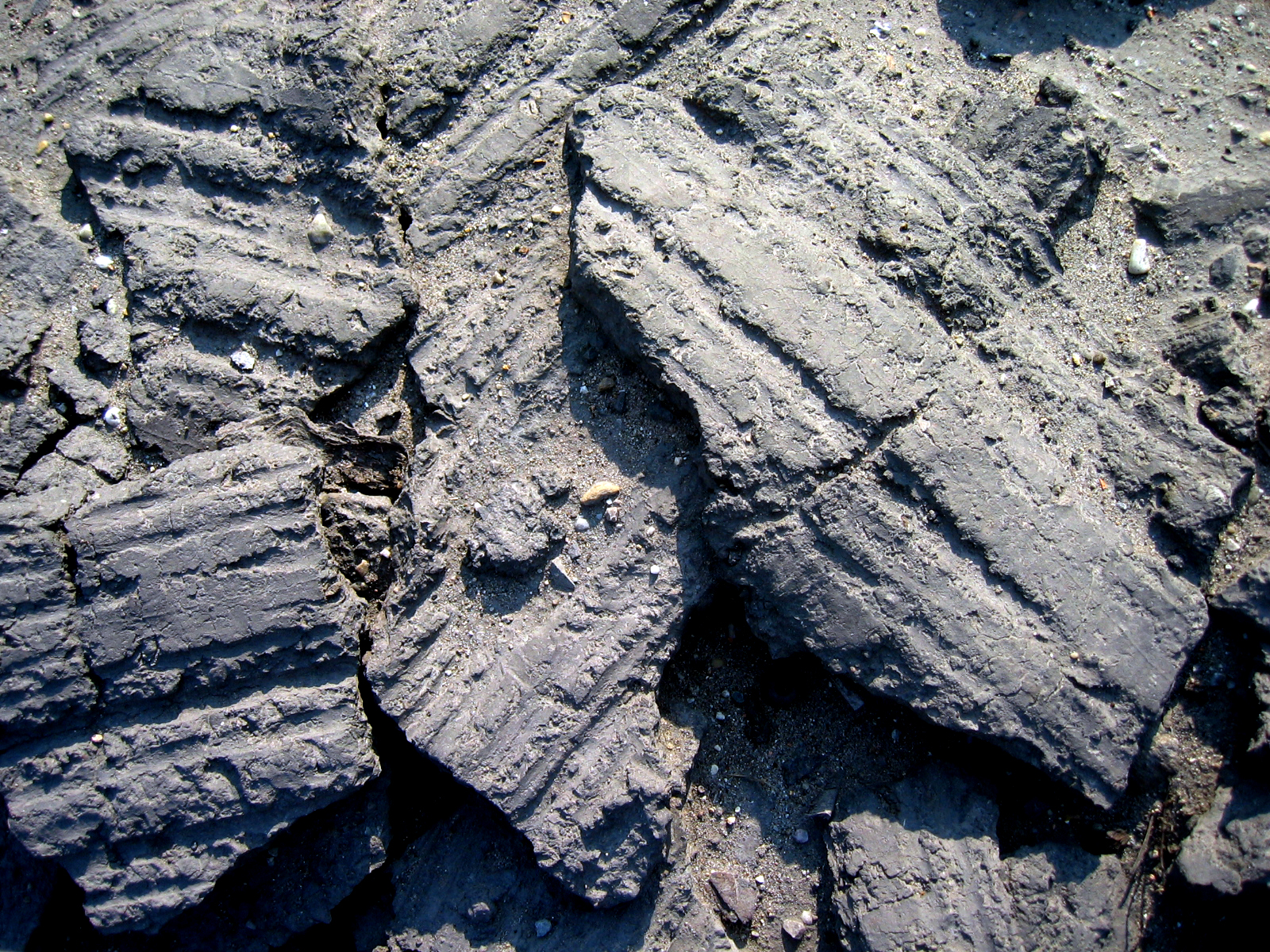 Photography by MrAdof for DesignCrowd (Community Contests) | Design #9089204