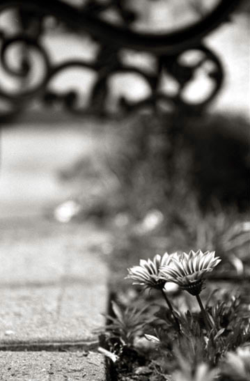 Photography by radamarin for DesignCrowd (Community Contests) | Design #9070591