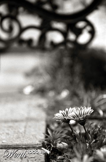 Photography by radamarin