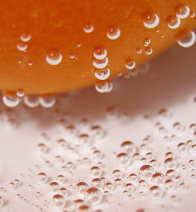 Photography by mzmzmzmz for DesignCrowd (Community Contests) | Design #9090704