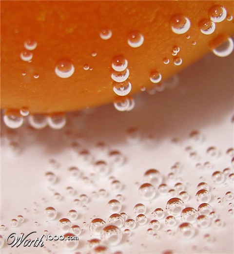 Photography by mzmzmzmz