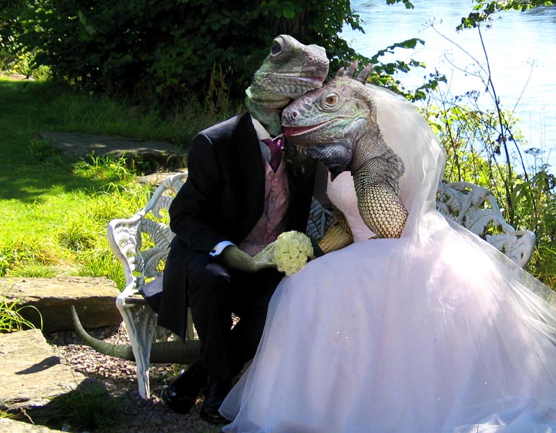 Photoshop Design by AtomicTitan for DesignCrowd (Community Contests) | Design #9092002