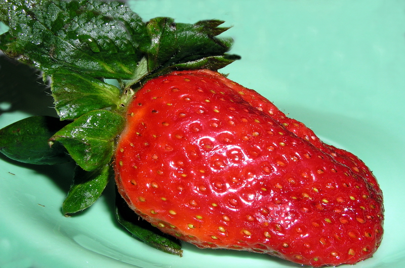 Photography by mzmzmzmz for DesignCrowd (Community Contests) | Design #9091348