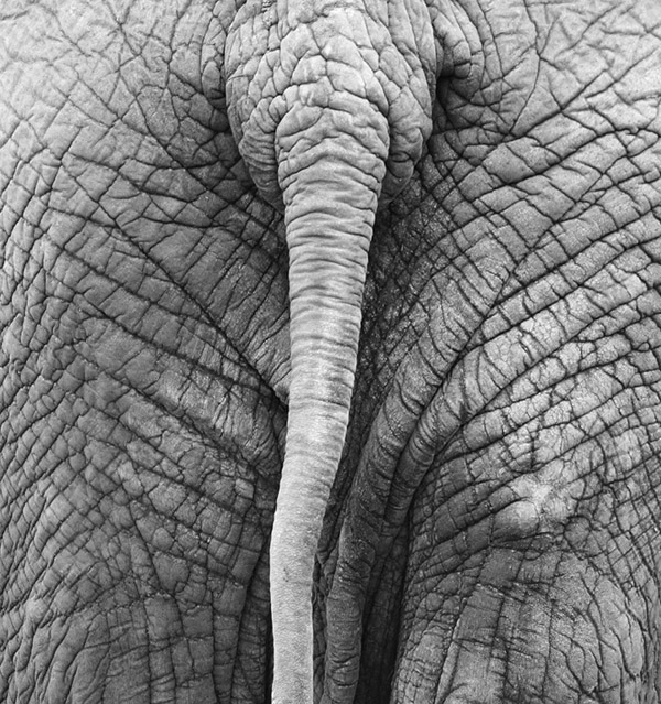 Photography by Alex999 for DesignCrowd (Community Contests) | Design #9089075