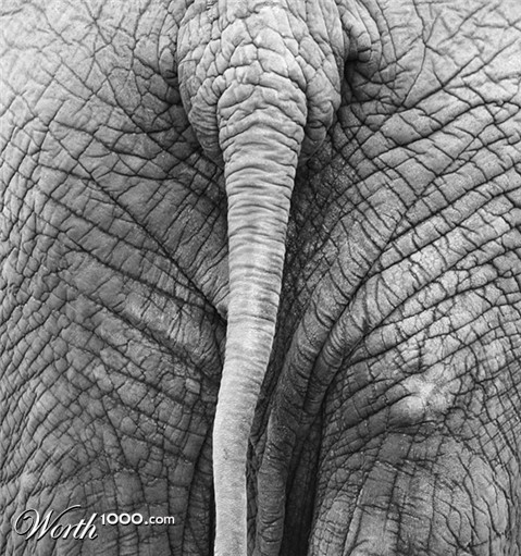 Photography by Alex999