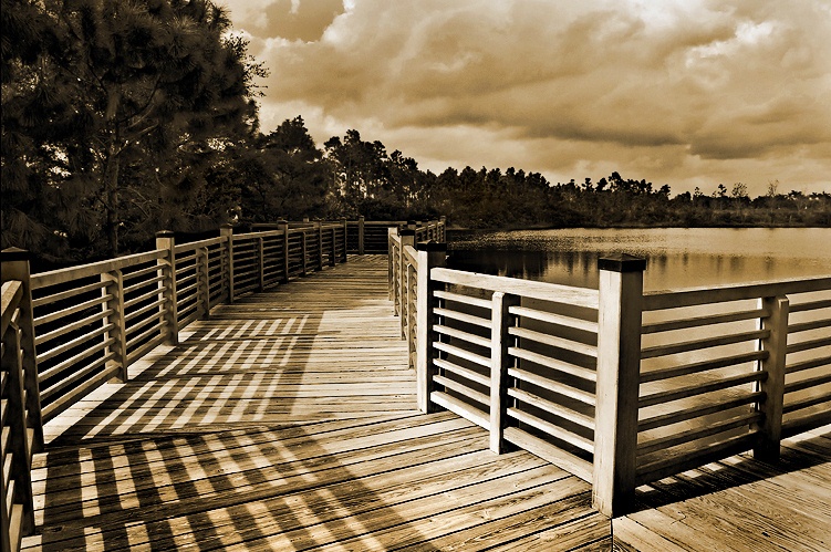 Photography by ataboy for DesignCrowd (Community Contests) | Design #9070578