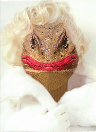 Photoshop Design by StrangeWorld for DesignCrowd (Community Contests) | Design #9091960