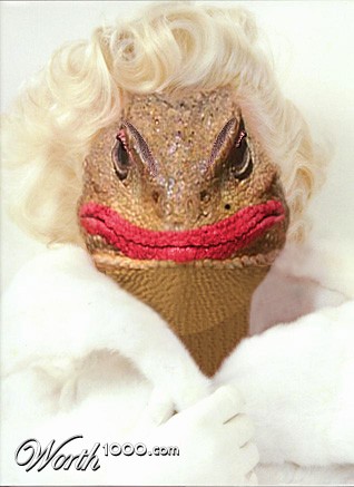 Photoshop Design by StrangeWorld