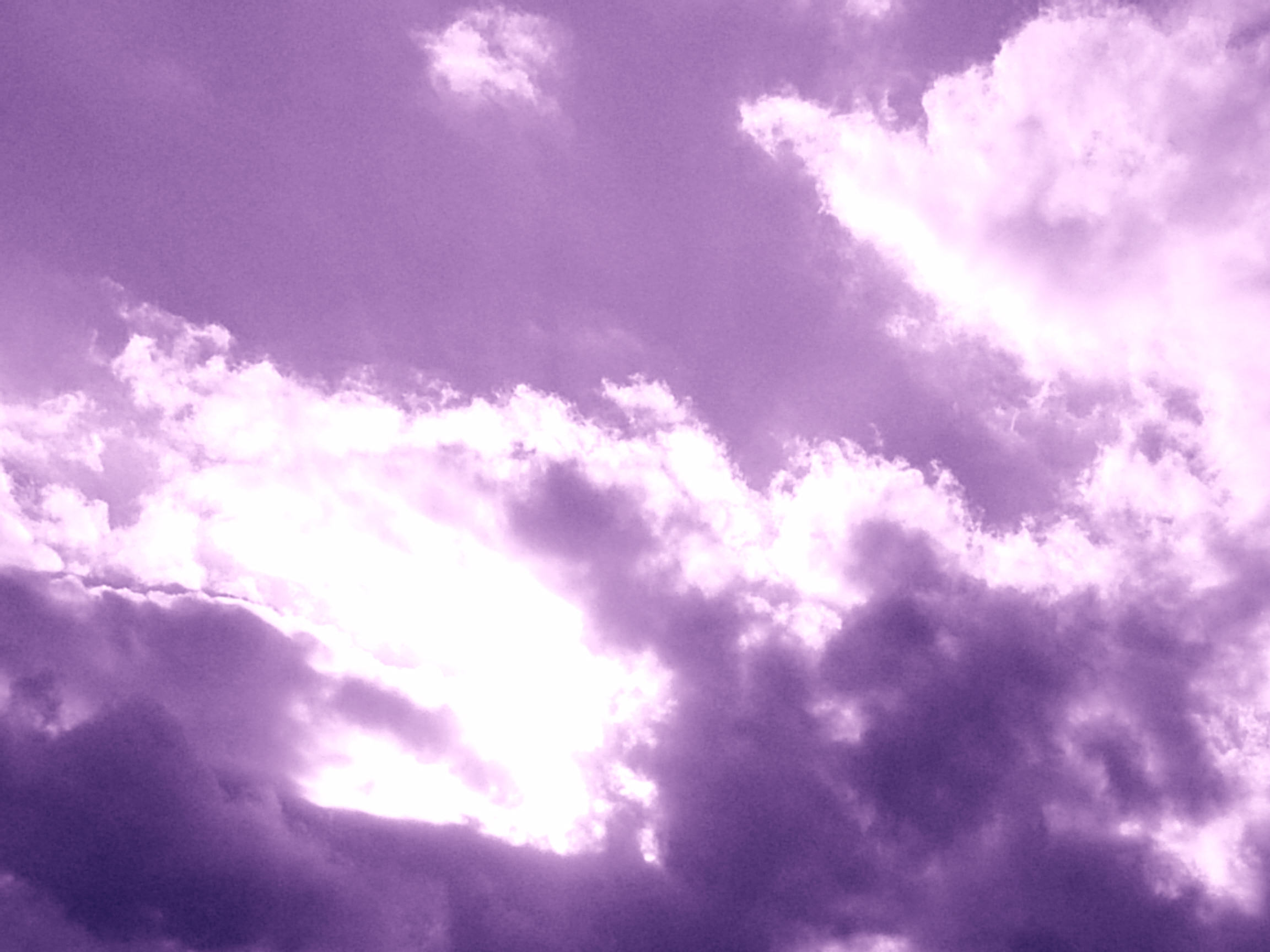 Photographie par cicisunflower pour DesignCrowd (Community Contests) | Design #9070555