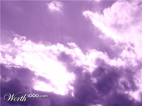 Photography by cicisunflower