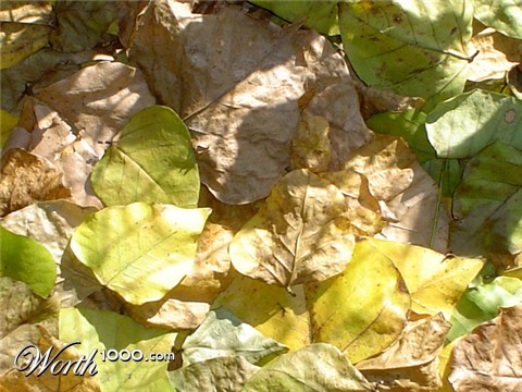 Photography by AlinaB7