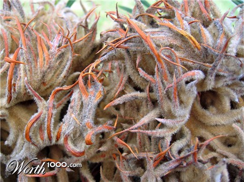 Photography by notmyrealnametoo