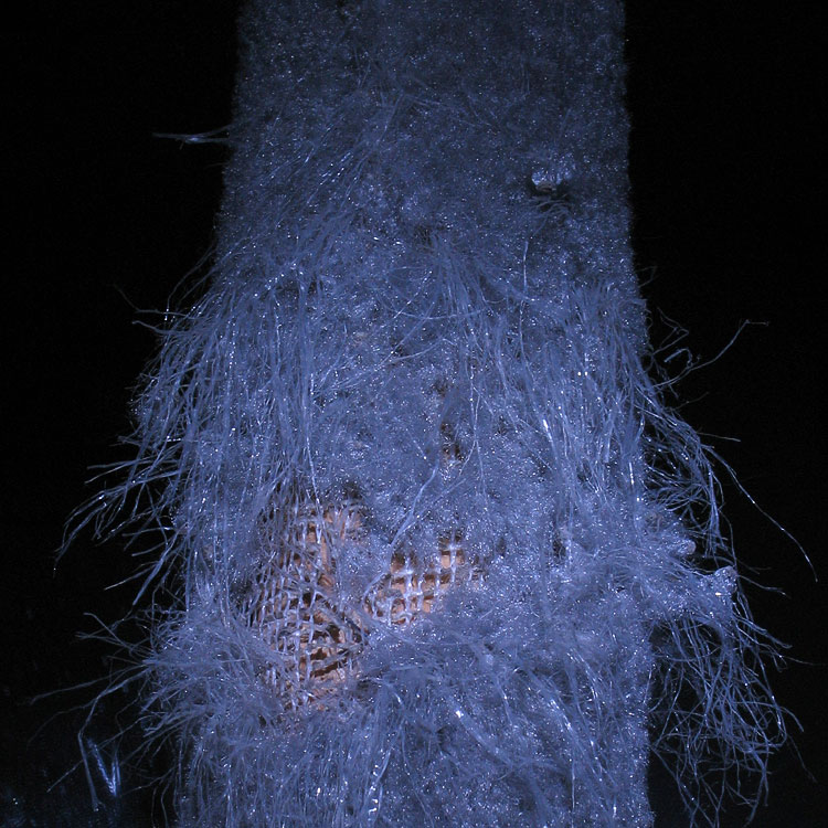 Photography by theLimeyBrit for DesignCrowd (Community Contests) | Design #9089065