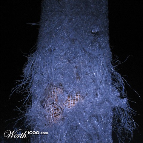 Photography by theLimeyBrit