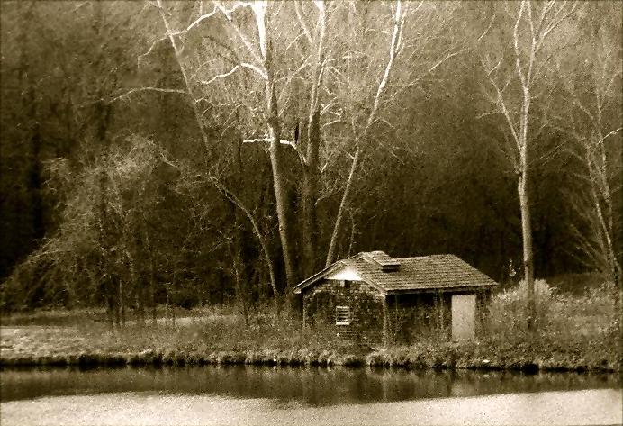 Photography by dylder for DesignCrowd (Community Contests) | Design #9070558