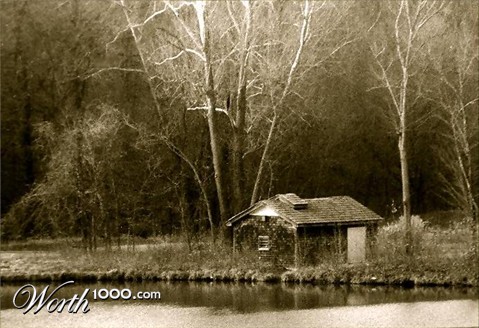 Photography by dylder