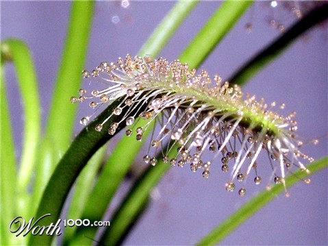 Photography by mmc9496