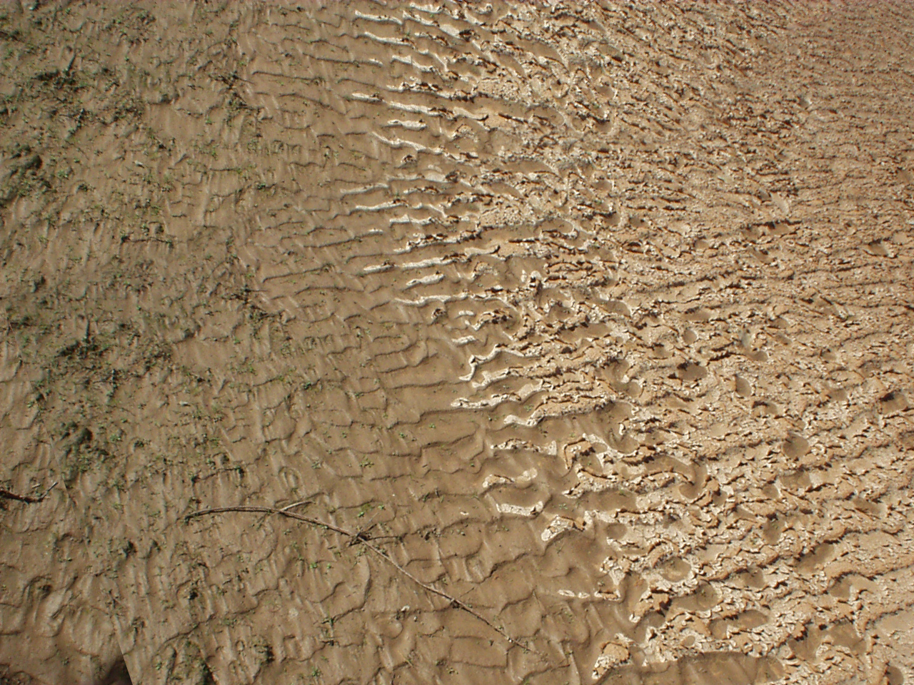 Photography by CheckMinus for DesignCrowd (Community Contests) | Design #9089134