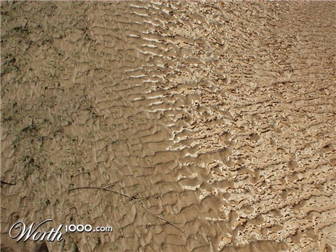 Photography by CheckMinus