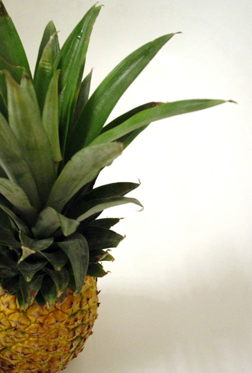 Fotografía por mysterio para DesignCrowd (Community Contests) | Diseño #9091392